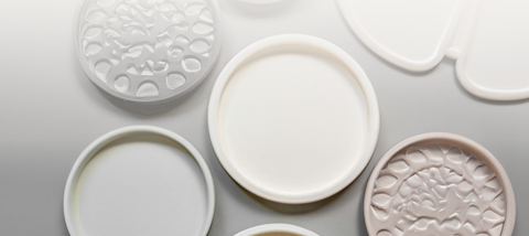 Moulds